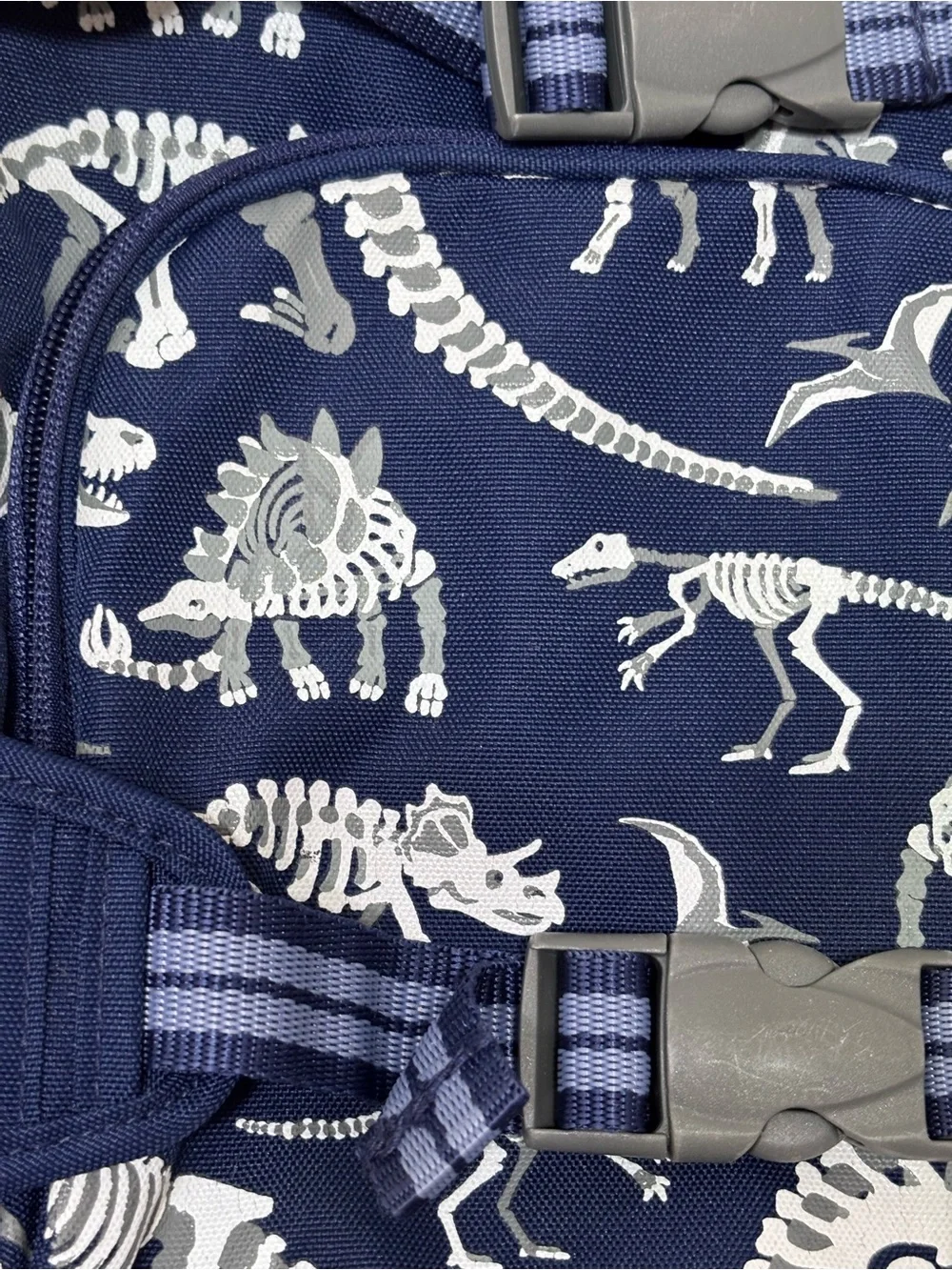 Pottery Barn Kids Mackenzie Dino Bones Backpack Blue